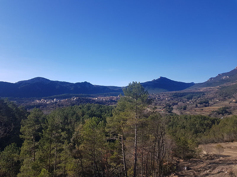El Vall